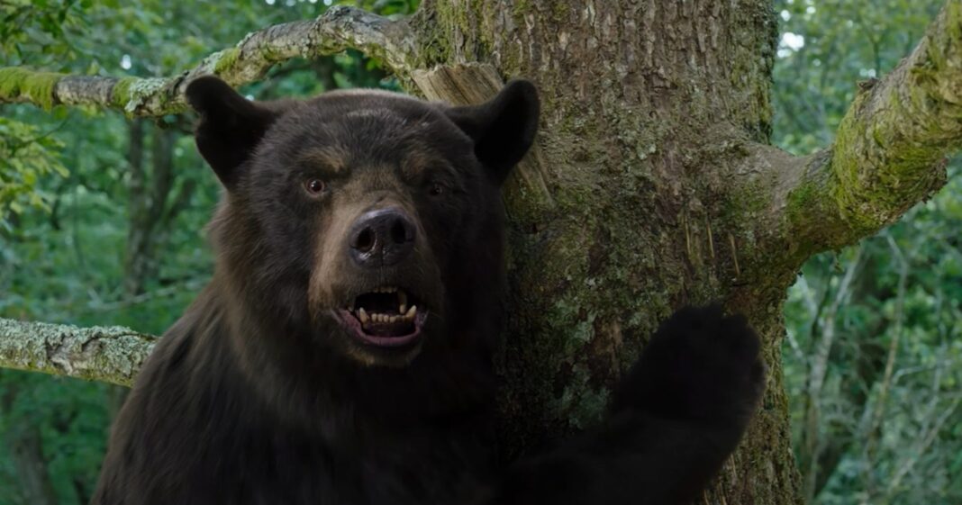 New TV Shows & Movies Being Added