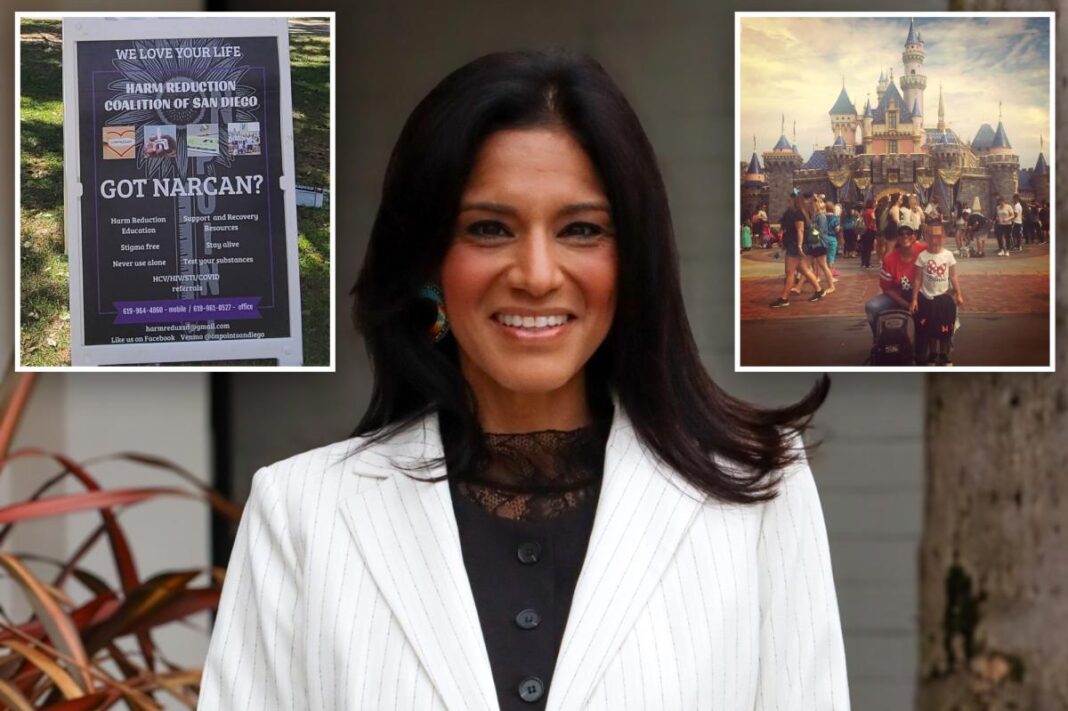 Amy Knox was arrested for her alleged theft from the Harm Reduction Coalition of San Diego, said District Attorney Summer Stephan