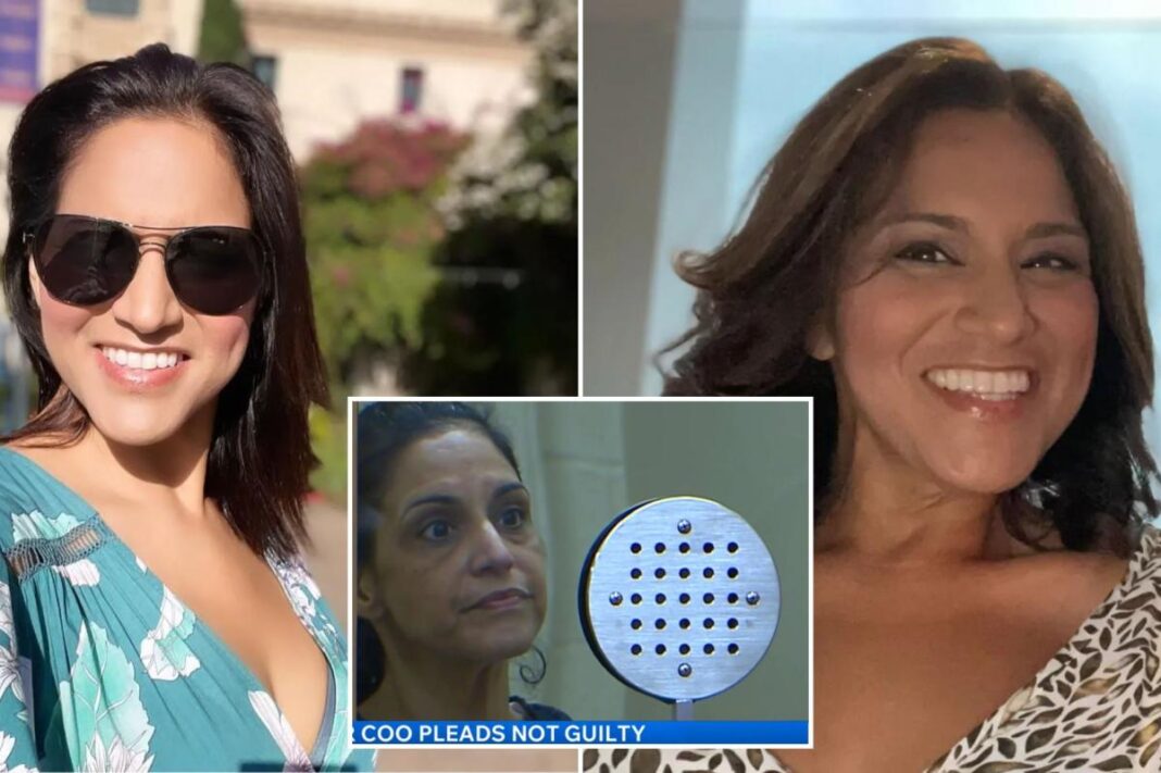 Amy Knox, who was COO of Harm Reduction Coalition of San Diego, pleaded not guilty to charges brought by DA Summer Stephan.