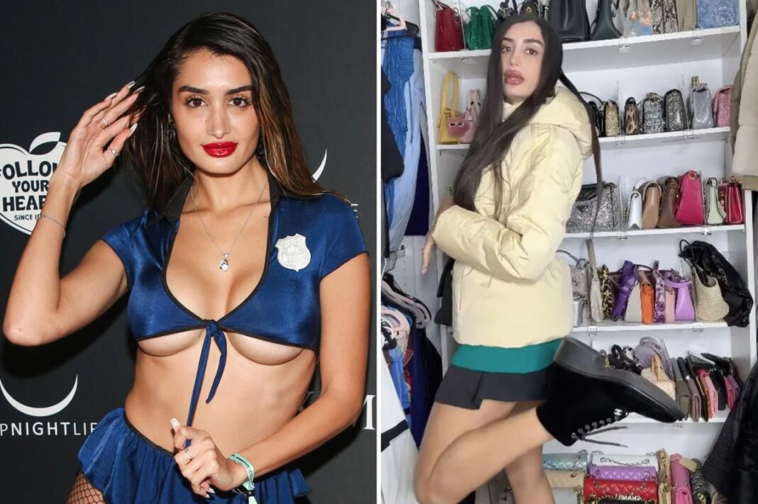 Penthouse Pet Adva Lavie was caught with $200K, gold and a gun